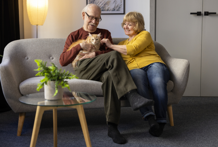 elderly people in comfort of their home